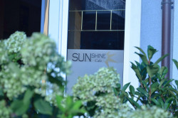 Cafe Sunshine Pflanzen